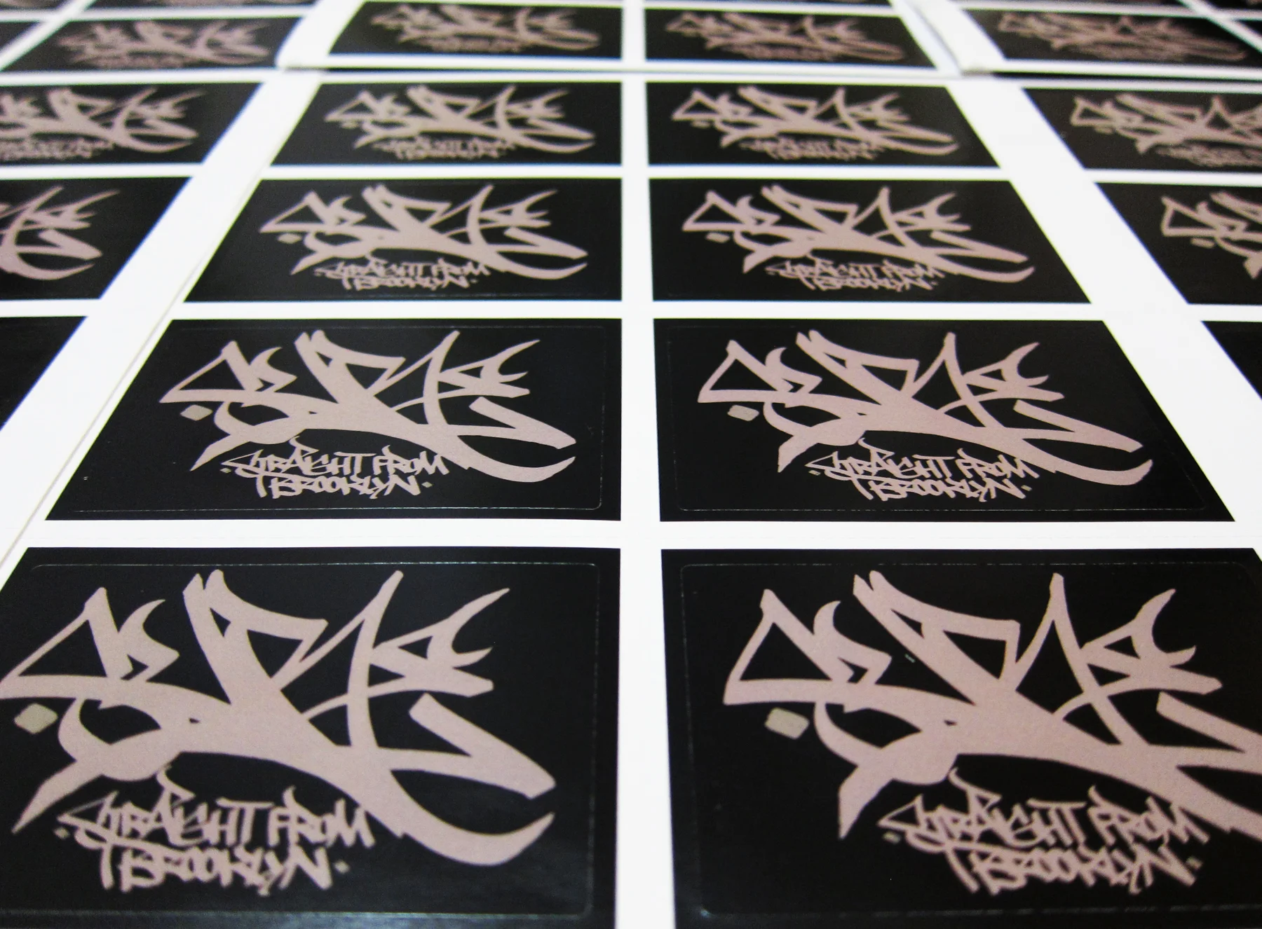 Zine — Projects — Carnage